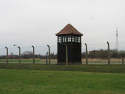 Birkenau